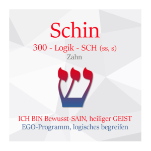 300_Schin